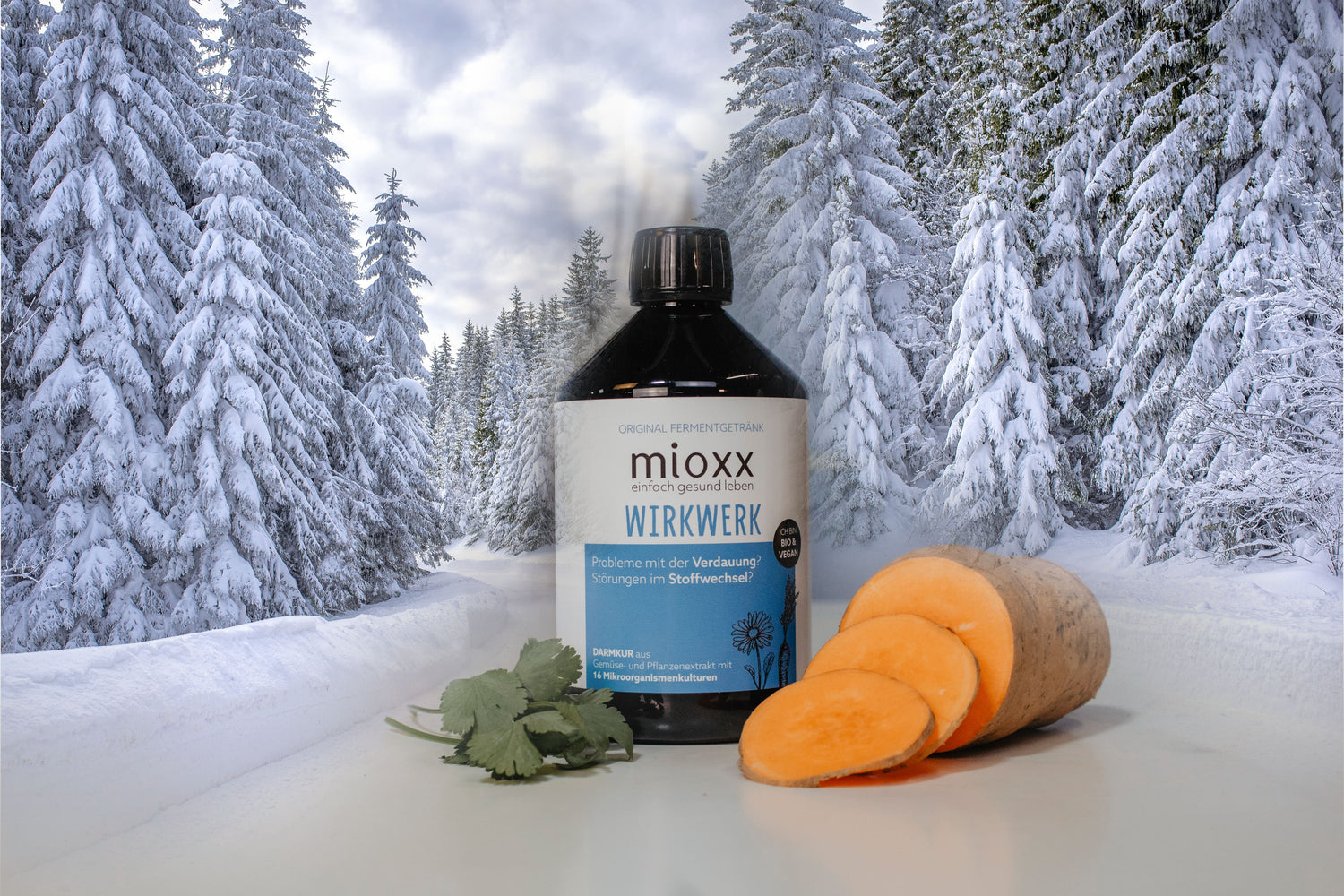 mioxx Wirkwerk im Winter